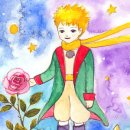 일상드로잉(초급) 이미지