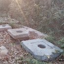 사자사지 이미지