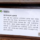 부산23산우회 영남알프스 둘레길/5코스/2022.11.12 이미지