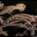 산장세탁소 이미지