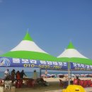 카페,The(더)좋은날
