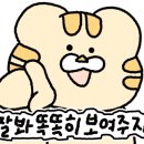 대박축산 이미지