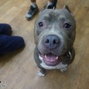 동수동물병원 이미지