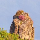 꺼먼재산_숲길(등산)1코스 | 시목치/갑낭재~제암산(100+인증)~사자산(인증)~일림산(인증)~한치재(제2주차장)] 등산후기(2025. 05. 04)