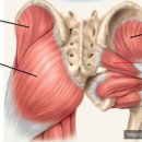 인천원탑 짐 이미지