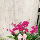 상남동279 이미지