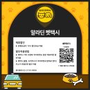 가자 펫 택시 이미지