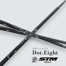 STM