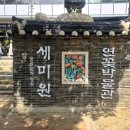 G9311 | 7월 국내여행 양평 세미원 연꽃축제 연꽃문화제