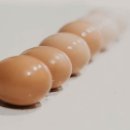 배달의계란 이미지