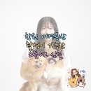 스튜디오신월