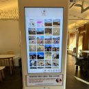 개으른세상 도그푸드 이미지