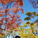 보라매댄스스포츠학원 네이버블로그