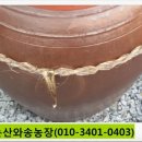 용골농장