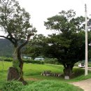 새마을(망성2리) 이미지