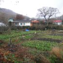 백마 농장2 이미지