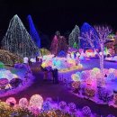 별빛정원B 이미지