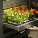 LG가 새로 출시한 가전제품 "식물생활가전" 이미지