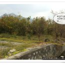 고성부동산중개사무소 이미지