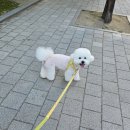 포돌이로 33 | 2025_8월 (3)