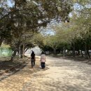 제주종합경기장 애향운동장 이미지