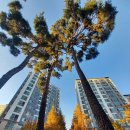 여수골프존 이미지