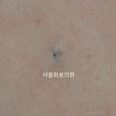 서울화봄의원 이미지