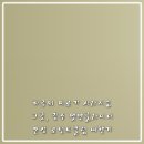 로던트클럽 네이버블로그
