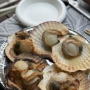 캠프안단테 이미지