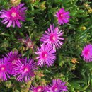 태만농장 이미지