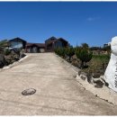 슬기로운 우도생활 이미지