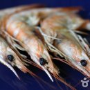 구도횟집 이미지