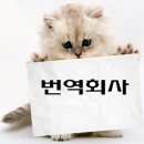 윈윈동시통역