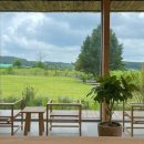 백설애견 이미지