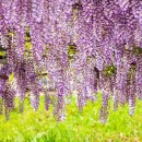 합도초등학교 이미지