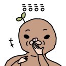미주개발 이미지