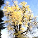 양평동초등학교 이미지