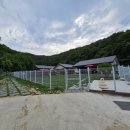 아요하우스 | 아요하우스 자연 속에서 힐링한 경험