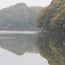 안동호반자연휴양림 이미지