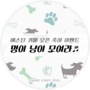 (주)에스틴 이미지