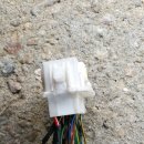 매직카월드 이미지