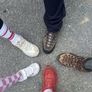 영인면 토정로 이미지