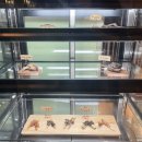 퍼피펜트하우스 이미지