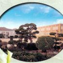 칠산초등학교 이미지