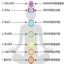 차크라의 개념 이미지