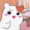 월정초등학교 이미지