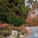 양지펜션 이미지