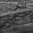 전주이유테니스스포츠