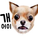 대흥동물병원 이미지