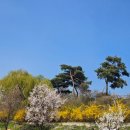 금강산찜한정식 | 행주산성 코다리밥도둑 내돈내산 후기/주차 편한 주말 나들이 외식 코스